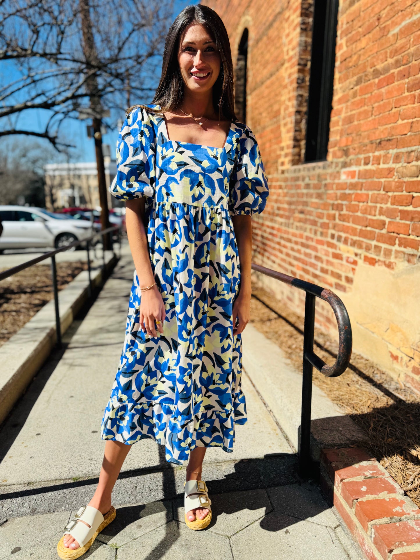 Gentry printed midi dress