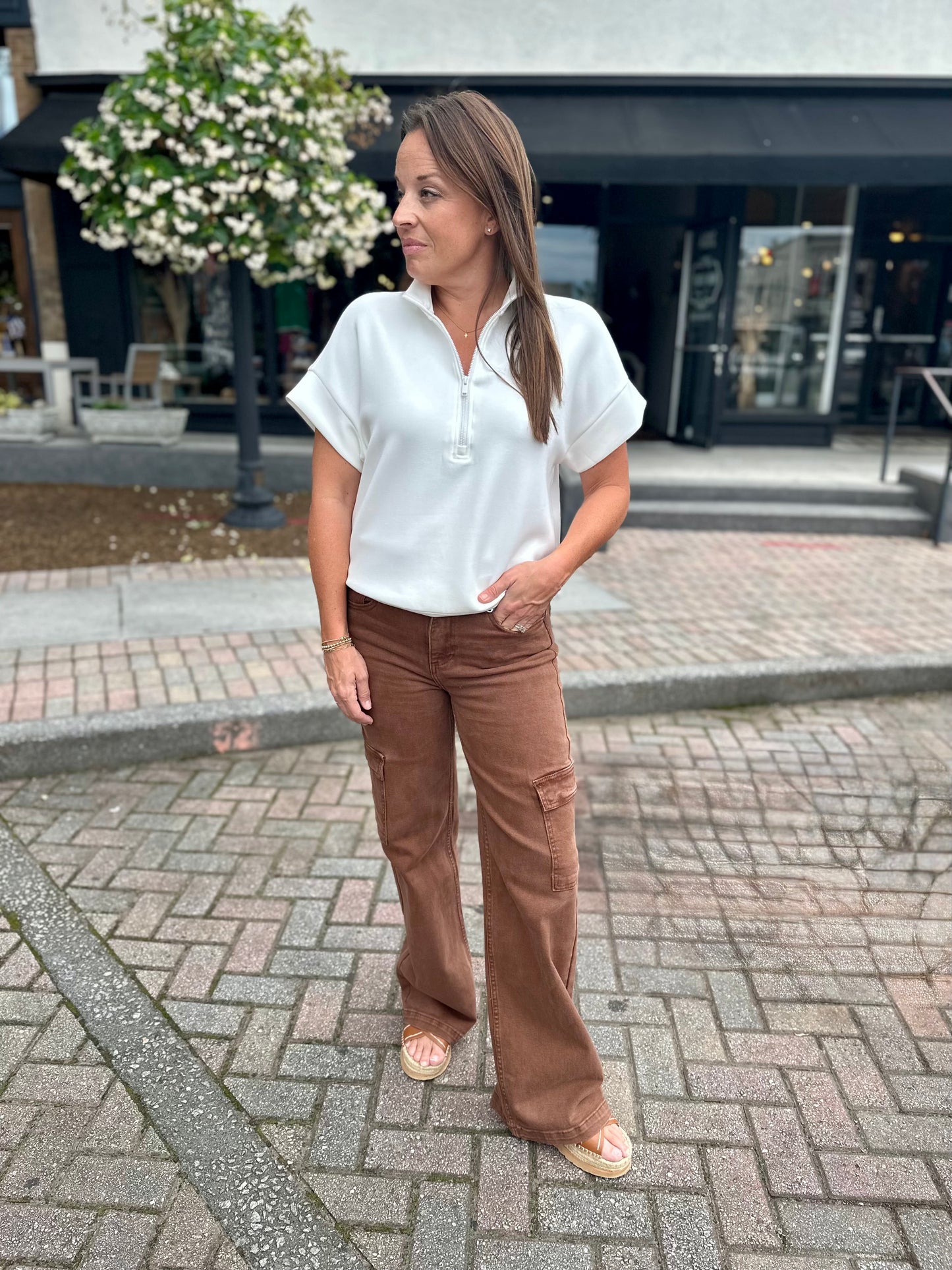 Risen espresso cargo pants