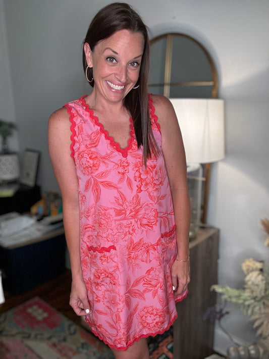 Pretty as a Picture Ric Rac dress