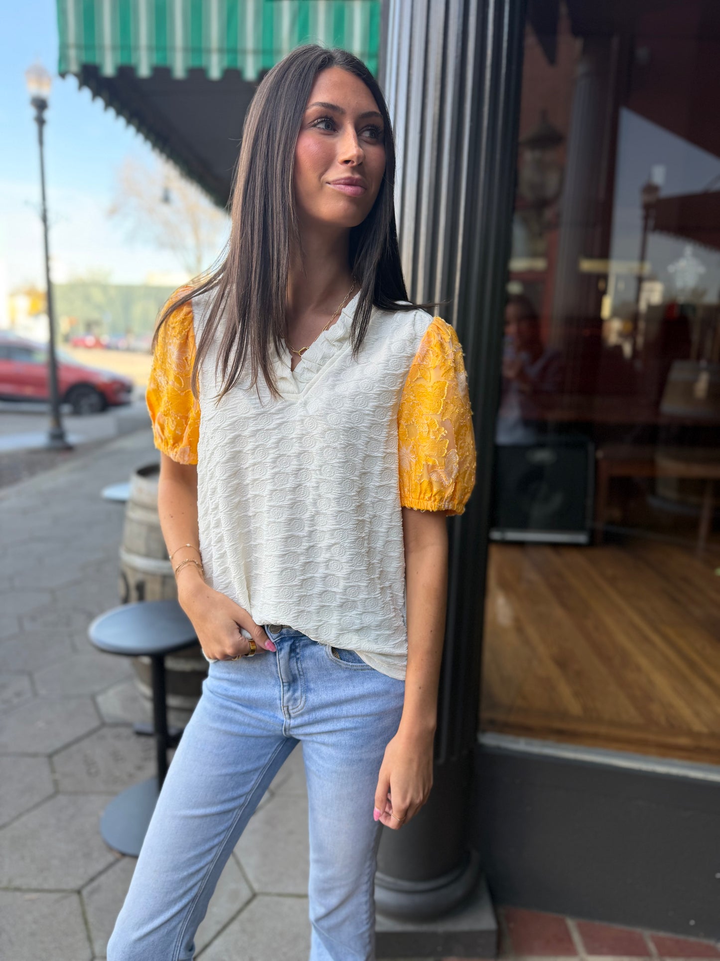 Organza puff sleeve top